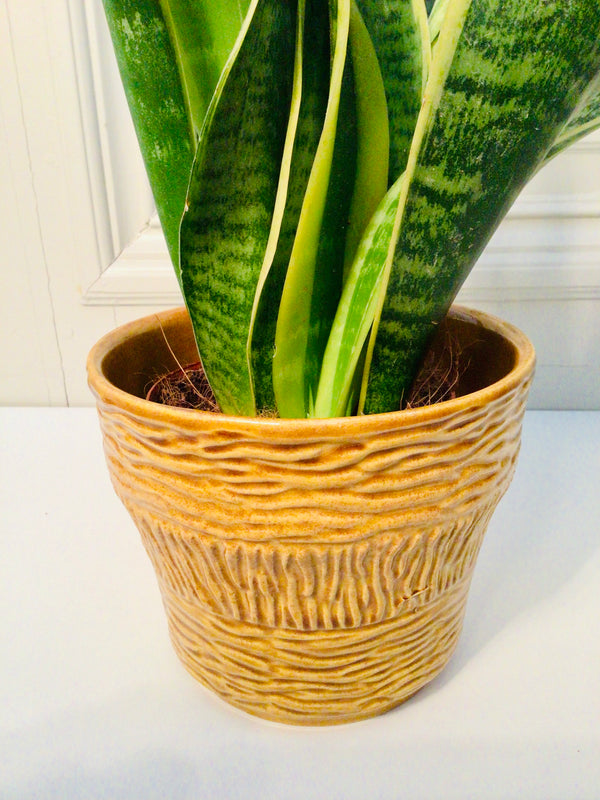Vintage West-Germany bloempot